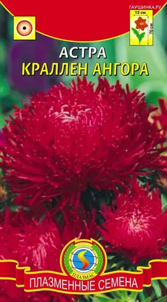 Астра Ангора Краллен 0,3 г, Плазменные семена