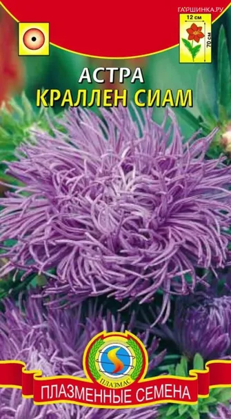 Астра Сиам Краллен 0,3 г, Плазменные семена