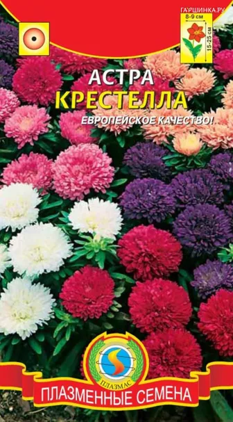 Астра Крестелла 0,2 г, Плазменные семена