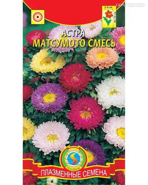 Астра Матсумото смесь 0,2 г, Плазменные семена