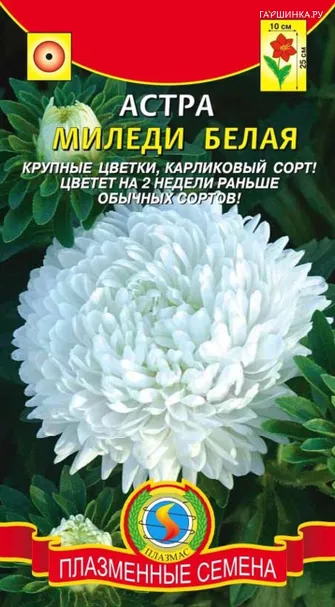 Астра Миледи Белая 0,1 г, Плазменные семена