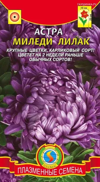 Астра Миледи Лилак 0,2 г, Плазменные семена