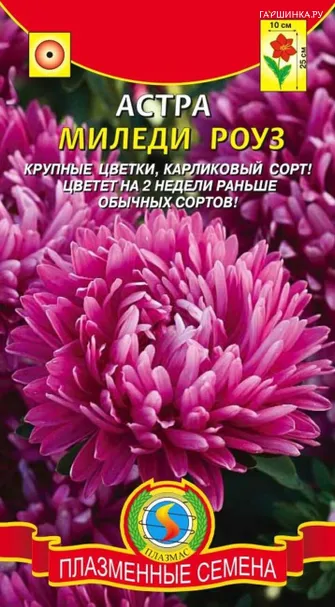 Астра Миледи Роуз 0,2 г, Плазменные семена