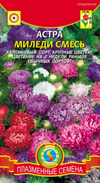 Астра Миледи смесь 0,1 г, Плазменные семена
