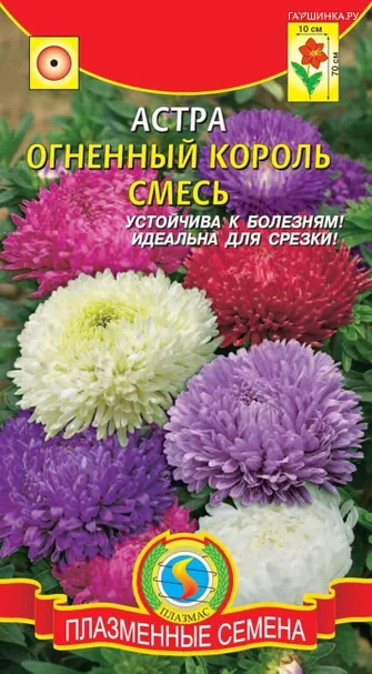 Астра Огненный король смесь 0,3г, Плазменные семена