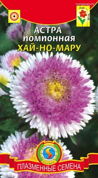 Астра Хай-Но-Мару помпонная 0,1 г, Плазменные семена