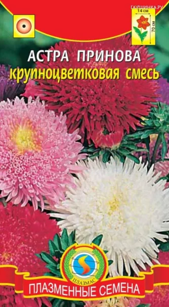 Астра Принова крупноцветковая смесь 0,2 г, Плазменные семена