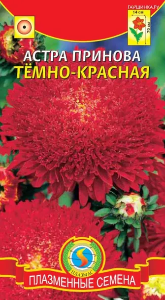 Астра Принова темно-красная 0,3 г, Плазменные семена