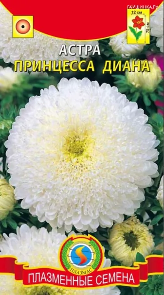 Астра Принцесса Диана 0,2 г, Плазменные семена