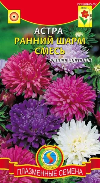 Астра Ранний Шарм смесь 0,3 г, Плазменные семена