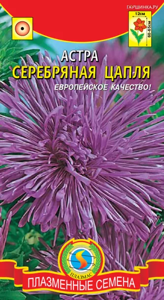Астра Серебряная цапля 0,3 г, Плазменные семена