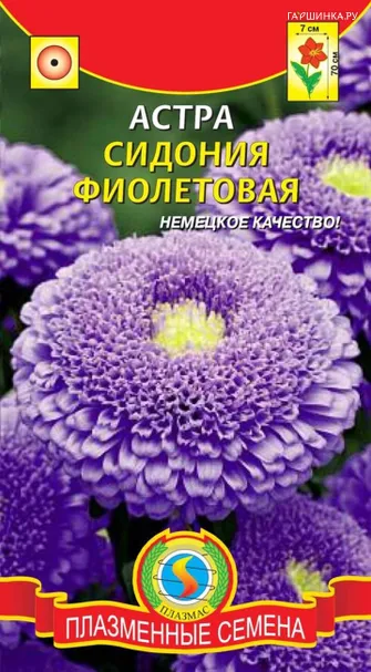 Астра Сидония Фиолетовая 0,2 г, Плазменные семена