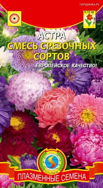 Астра Смесь срезочных сортов 0,3 г, Плазменные семена