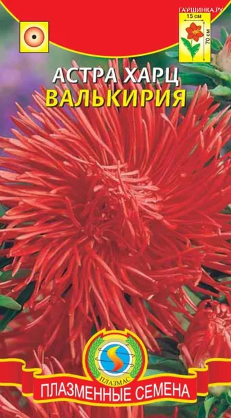 Астра Харц Валькирия 0,3 г, Плазменные семена