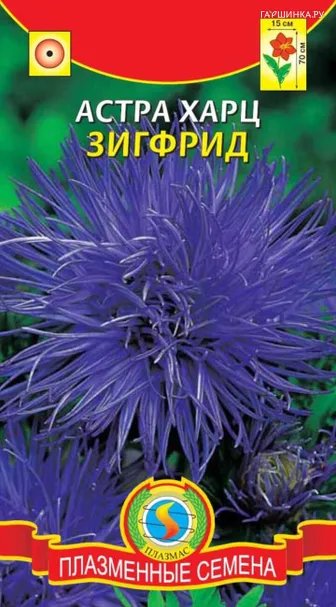 Астра Харц Зигфрид 0,3 г, Плазменные семена