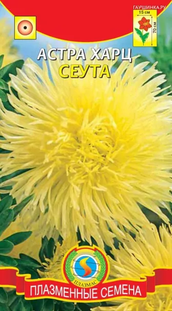 Астра Харц Сеута 0,3 г, Плазменные семена