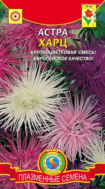 Астра Харц смесь 0,3 г, Плазменные семена