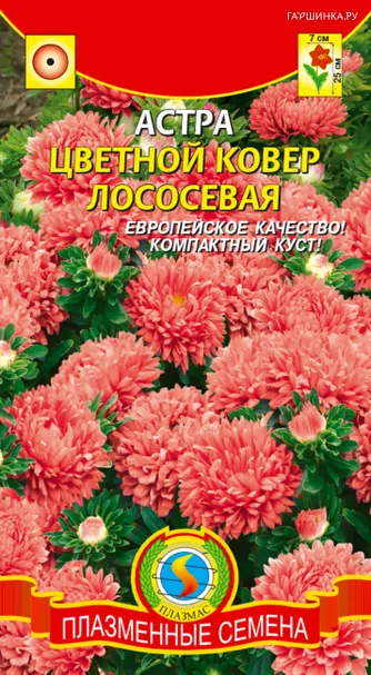 Астра Цветочный ковер лососевая 0,3 г, Плазменные семена