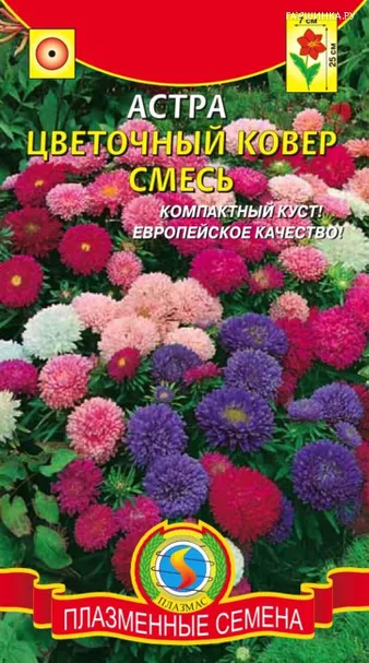 Астра Цветочный ковер смесь 0,2 г, Плазменные семена
