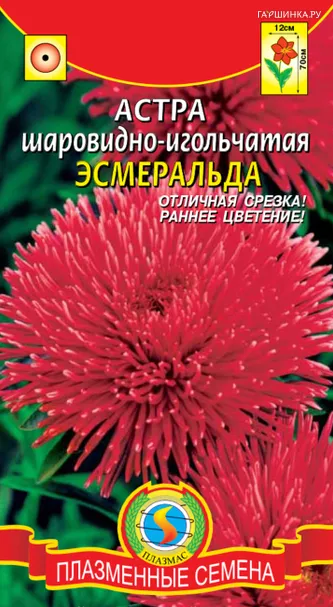 Астра Эсмеральда шаровидно-игольчатая 0,2 г, Плазменные семена