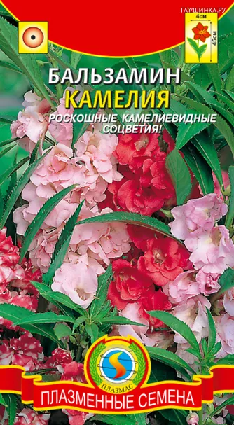 Бальзамин Камелия 0,2 г, Плазменные семена