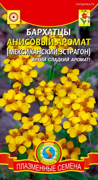 Бархатцы Анисовый аромат лучистые 50 шт Плазменные семена