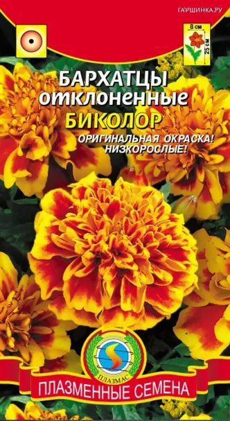 Бархатцы Биколор отклоненные 45 шт, Плазменные семена