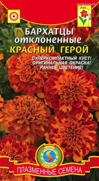 Бархатцы Красный Герой отклоненные 15 шт, Плазменные семена