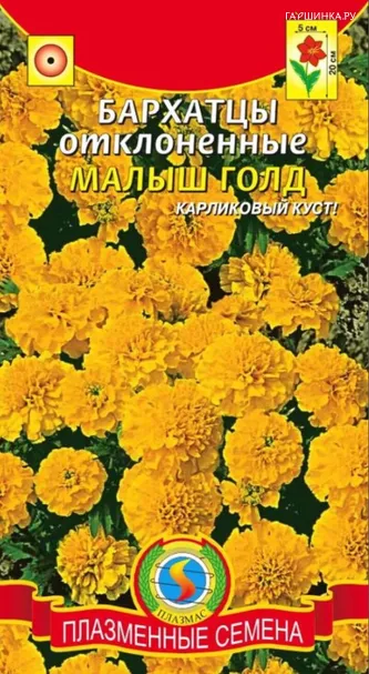 Бархатцы Малыш Голд отклоненные 30 шт, Плазменные семена