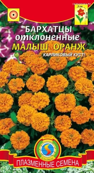 Бархатцы Малыш Оранж отклоненные 30 шт, Плазменные семена