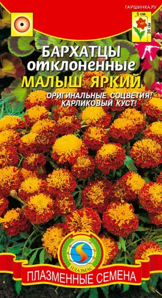 Бархатцы Малыш Яркий отклоненные 30 шт, Плазменные семена