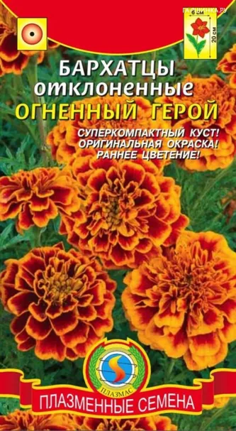 Бархатцы Огненный Герой отклоненные 15 шт, Плазменные семена