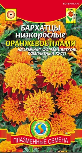 Бархатцы Оранжевое пламя отклоненные  45 шт, Плазменные семена