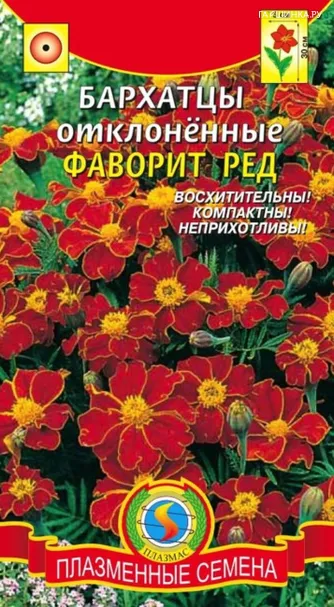 Бархатцы отклоненные Фаворит Ред 30 шт Плазменные семена
