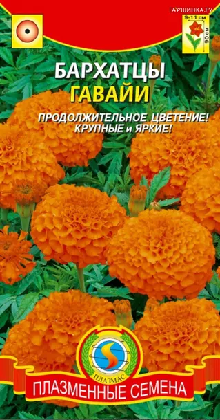 Бархатцы Гавайи прямостоячие 45 шт, Плазменные семена