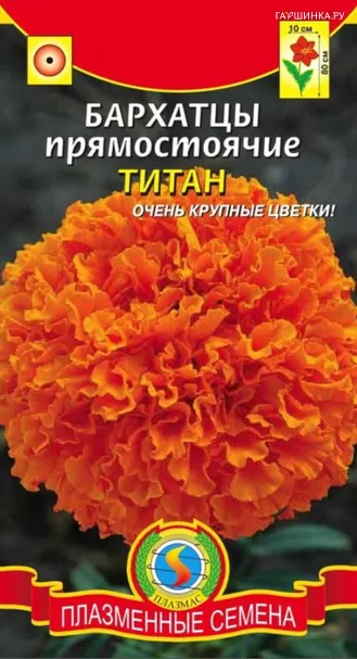Бархатцы Титан прямостоячие 45 шт, Плазменные семена