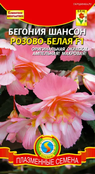 Бегония клубневая ампельная Шансон Розово-белая 10 шт, Плазменные семена