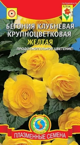Бегония Желтая крупноцветковая клубневая 5 шт, Плазменные семена