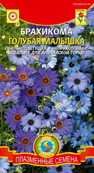 Брахикома Голубая малышка 0,05 г, Плазменные семена