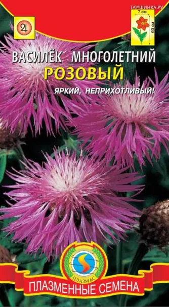 Василёк многолетний Розовый  10 шт Плазменные семена