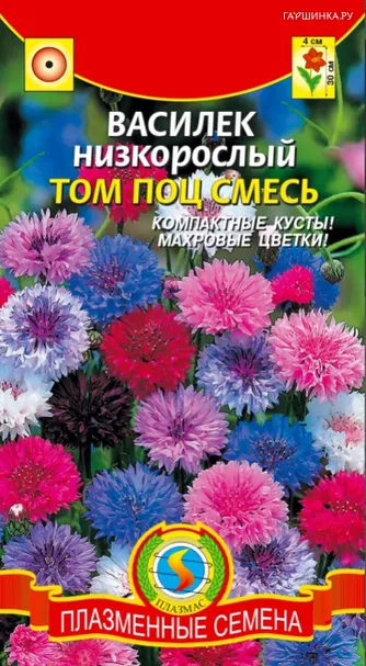 Василек Том Поц смесь низкорослая 0,2 г, Плазменные семена
