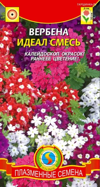 Вербена Идеал смесь 0,1 г, Плазменные семена