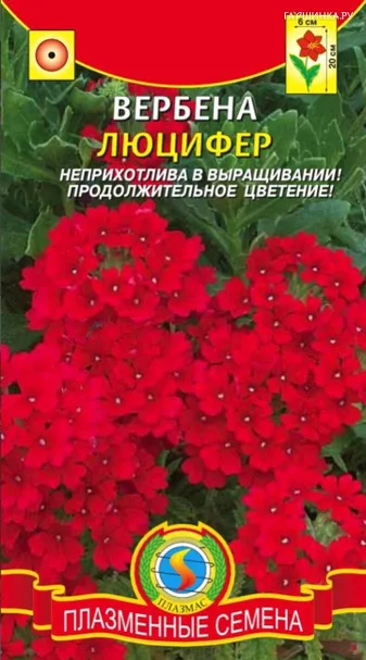 Вербена Люцифер 0,05 г, Плазменные семена