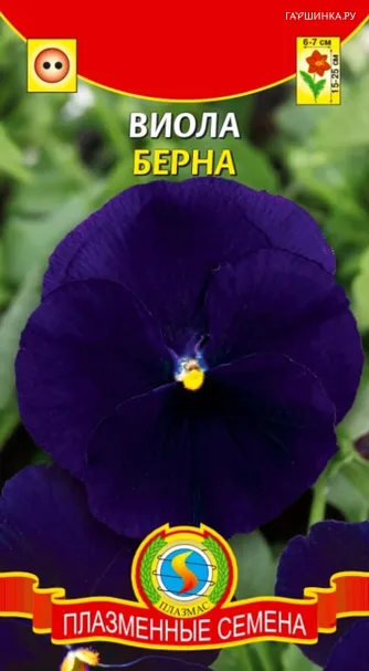Виола Берна 0,1 г, Плазменные семена