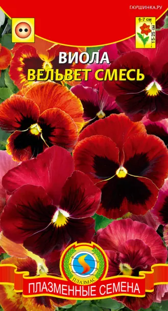 Виола Вельвет смесь  0,1 г, Плазменные семена