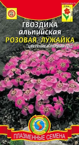 Гвоздика альпийская Розовая лужайка  0,05 гр Плазменные семена