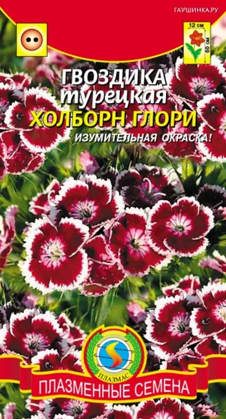 Гвоздика турецкая Холборн Глори 0,2 гр Плазменные семена