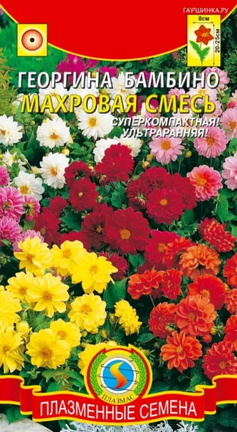 Георгина Бамбино махровая смесь 12 шт, Плазменные семена