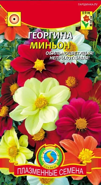 Георгина Миньон 0,15 г, Плазменные семена