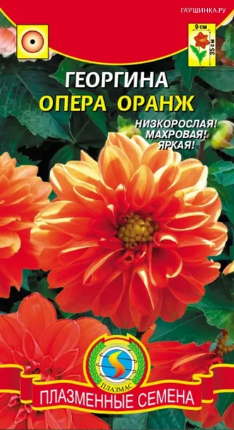 Георгина Опера Оранж 10 шт, Плазменные семена
